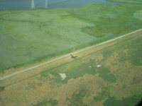 Salt marshes on the departure end of PAO Runway 31